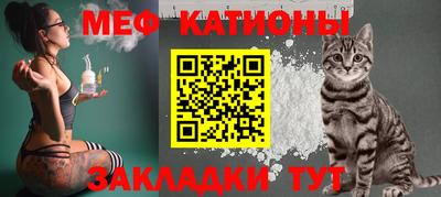 мдпв Камышлов