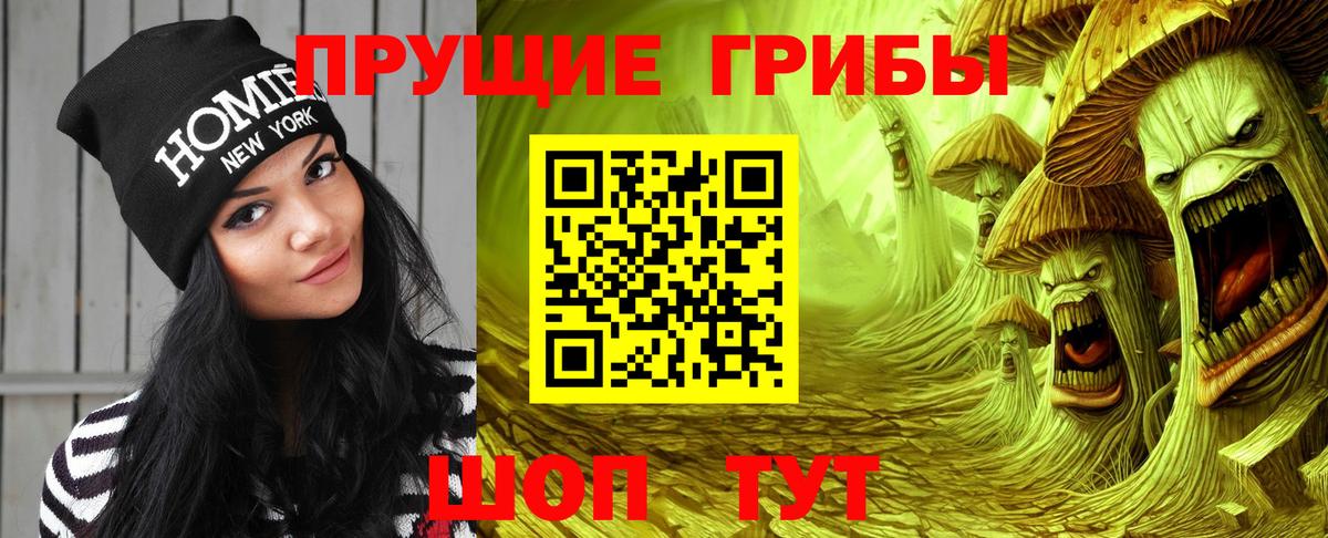 Галлюциногенные грибы Psilocybine cubensis  Вход с VPN  Краснознаменск  Псилоцибиновые грибы Psilocybe 