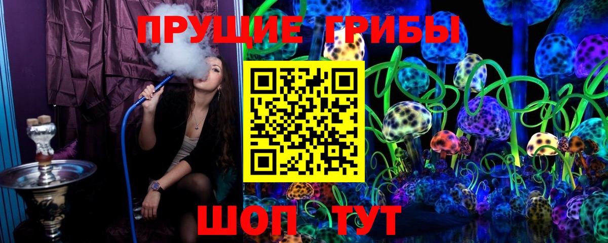 Галлюциногенные грибы Psilocybe Краснознаменск